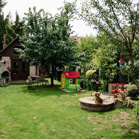 Podkrovni Apartman S Vyhledem Na Namesti Lomnice nad Luznici Экстерьер фото