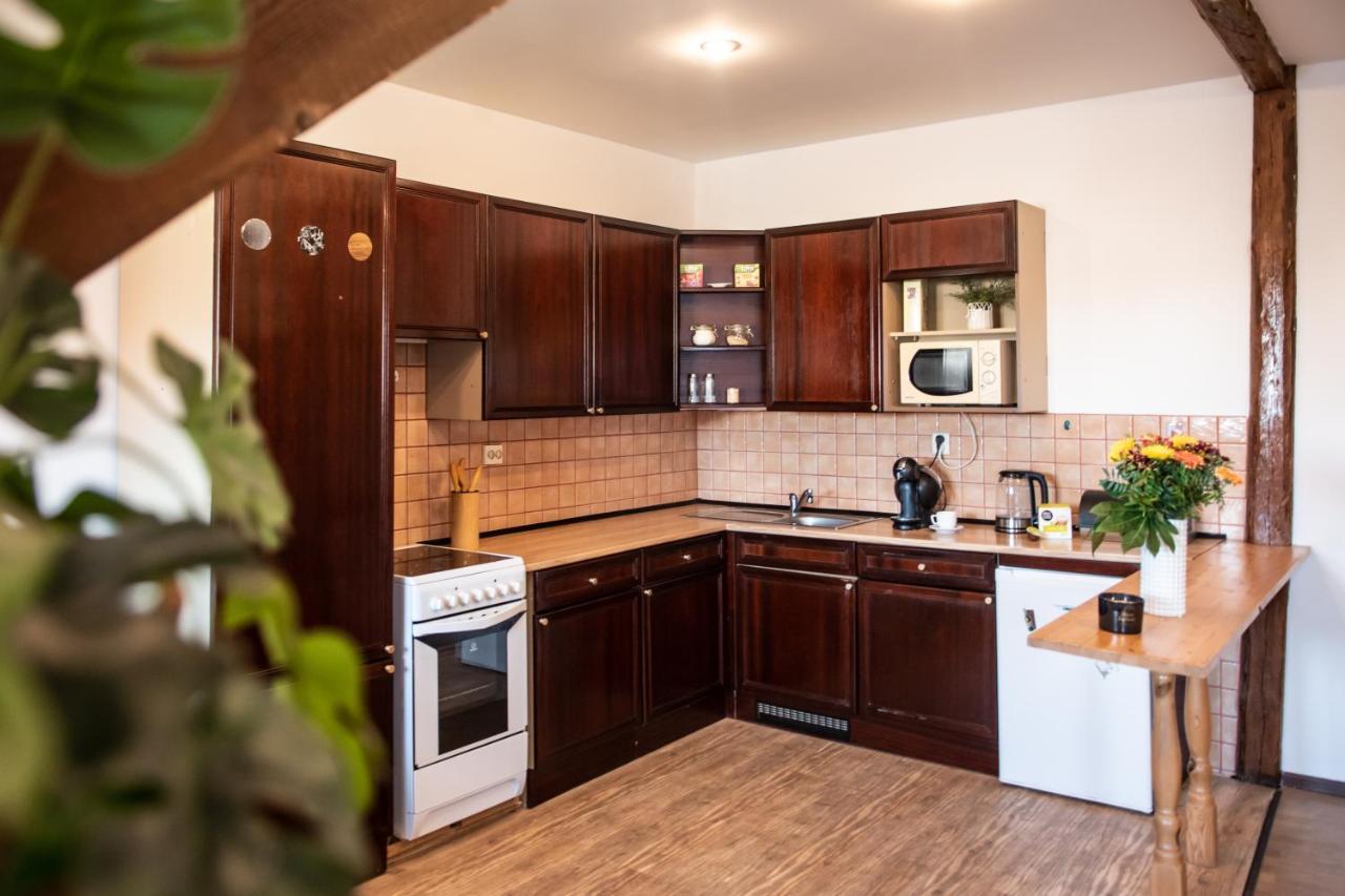 Podkrovni Apartman S Vyhledem Na Namesti Lomnice nad Luznici Экстерьер фото