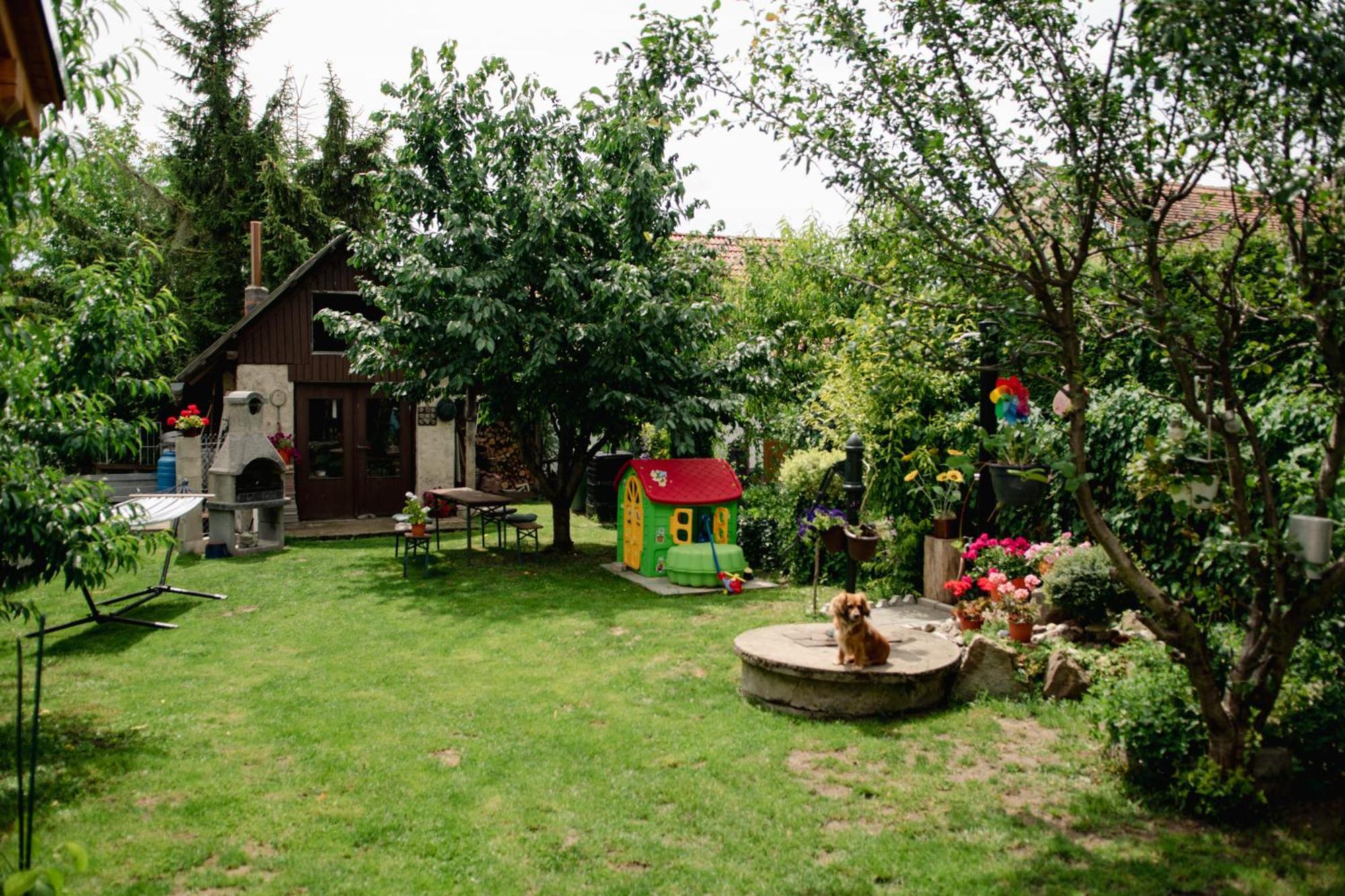 Podkrovni Apartman S Vyhledem Na Namesti Lomnice nad Luznici Экстерьер фото